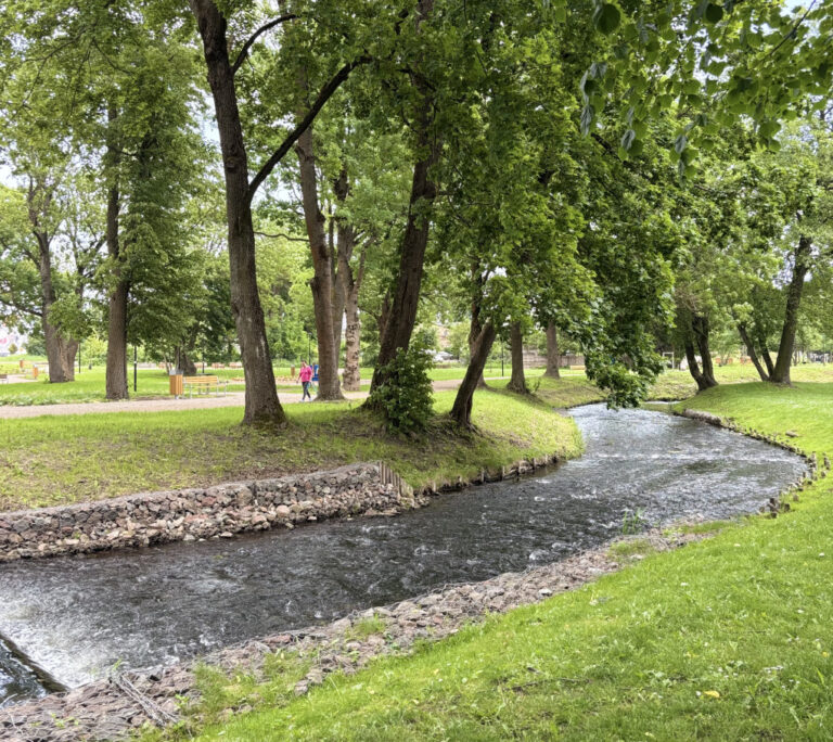 Czarna Hańcza – klejnot Suwalszczyzny. Jakie atrakcje skrywa najbardziej malownicza rzeka Polski?